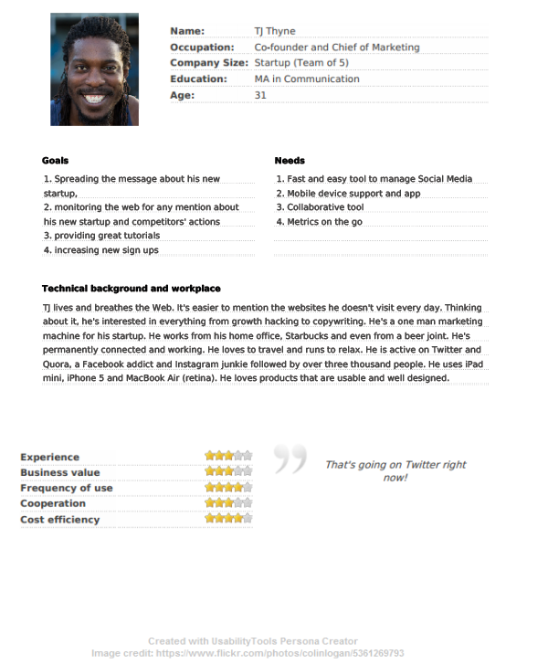 User Persona Example